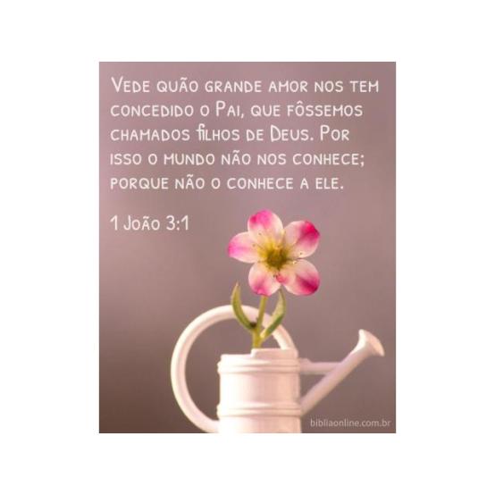 Seu maravilhoso amor