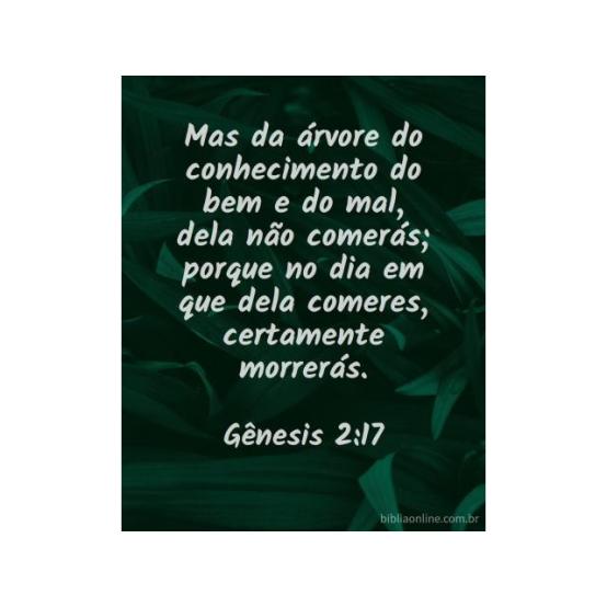 8. A Consequência da Transgressão