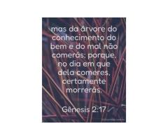 8. A Consequência da Transgressão