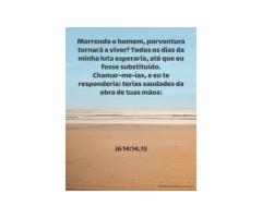 9. A Ressurreição dos Justos