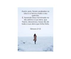 10. Um Dia Especial
