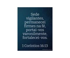 Corajosos Corajosos