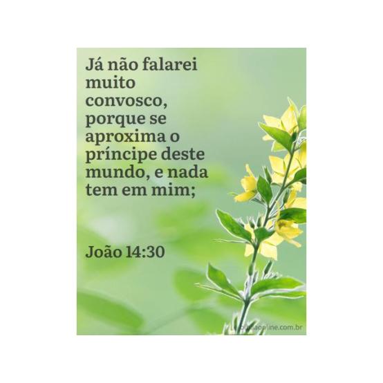 Sua vida irrepreensível