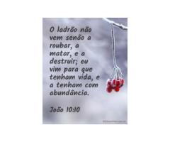 A ressurreição de Jesus e a nova vida