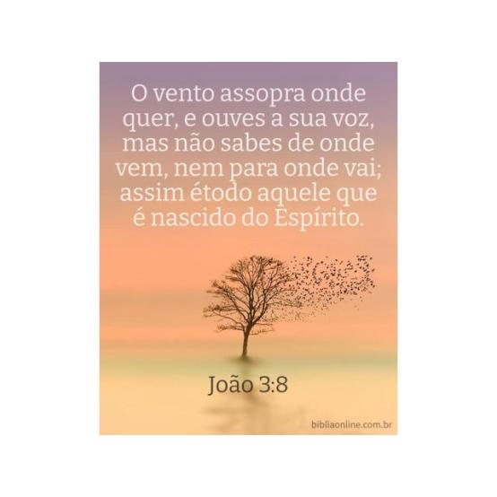 Uma presença terna e misteriosa