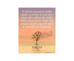 Uma presença terna e misteriosa