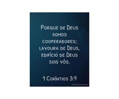 Uma ligação viva com o Deus vivente