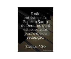 Não entristecer o Espírito