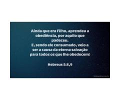 Uma vida de humilde obediência