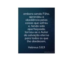 Uma vida de humilde obediência Uma vida de humilde obediência