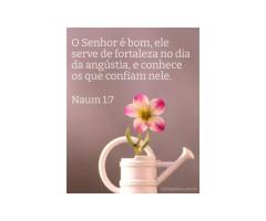 Infinitamente sábio e bom