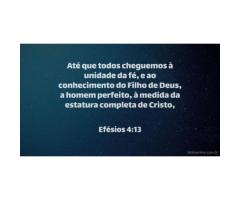 O padrão de Deus é perfeito