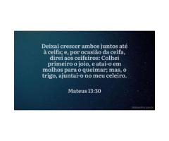 “Deixai-os crescer juntos”