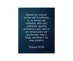 “Deixai-os crescer juntos”
