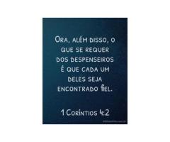 Deus o primeiro