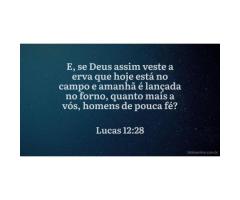 Cristo ensinou pela natureza