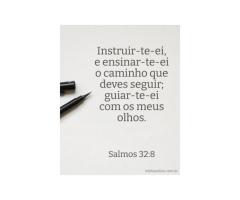 Meu guia e piloto