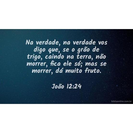 A colheita da cruz A colheita da cruz