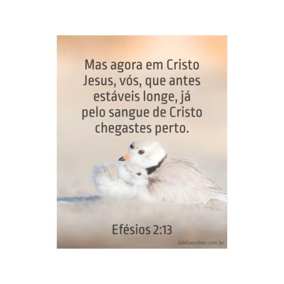 O tipo encontra o antítipo