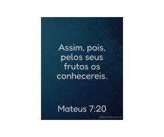 O verdadeiro amor não se oculta O verdadeiro amor não se oculta