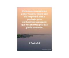 A escada da perfeição