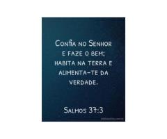 Seguir as instruções do Senhor Seguir as instruções do Senhor