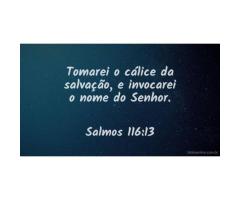 Tomar a taça da salvação