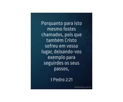 O grande exemplo