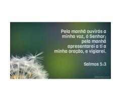 Orar de manhã