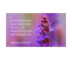 Minha luz
