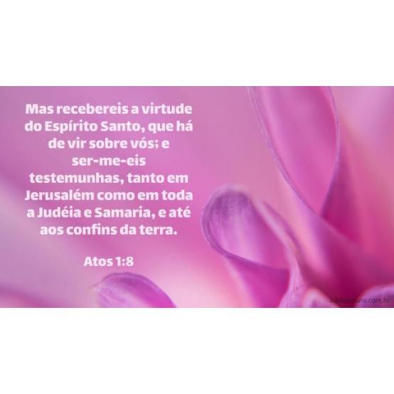 Poder do alto Poder do alto