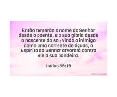 Erguer um estandarte contra o inimigo