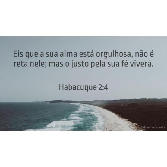 Fidelidade Fidelidade