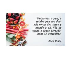 A paz verdadeira, só na obediência a Cristo
