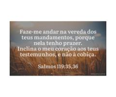 Viver pelos preceitos de Deus