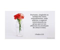 Dominar meu entendimento