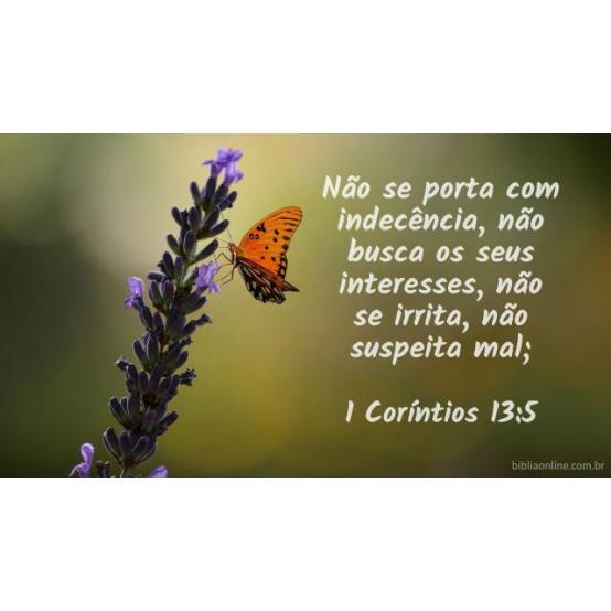 Ser cristão no lar