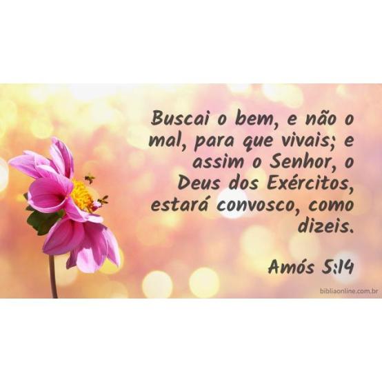 Buscar o bem, para que eu viva Buscar o bem, para que eu viva