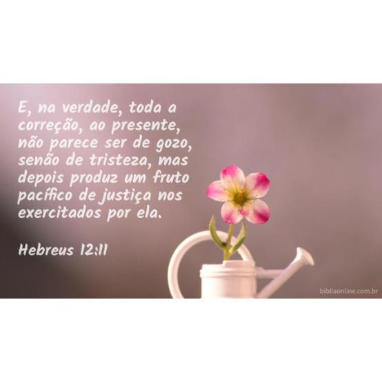 Deus tem um desígnio em cada prova