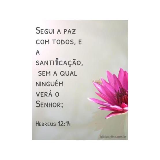 Santidade de vida Santidade de vida