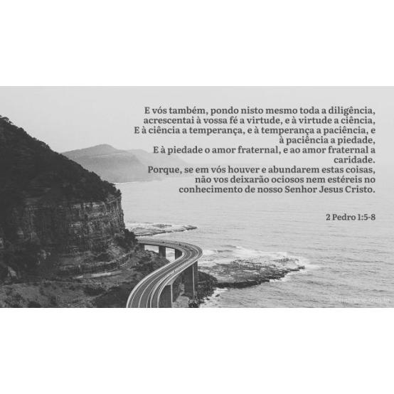 Subindo a escada cristã Subindo a escada cristã