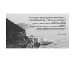 Subindo a escada cristã