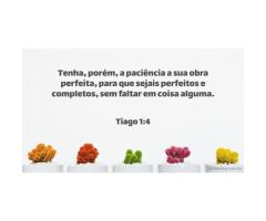 A paciência desenvolve a perfeição