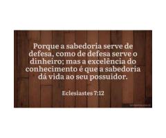 A sabedoria dá vida