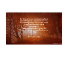 Como adquirir conhecimento