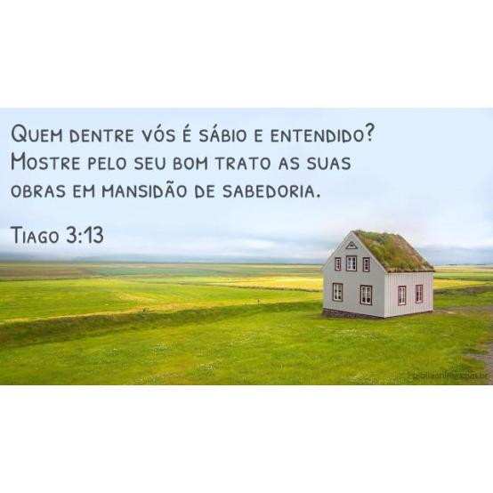 Sabedoria mostrada no meu falar