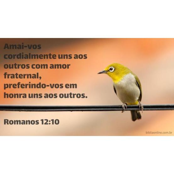 A afeição e os impulsos são talentos