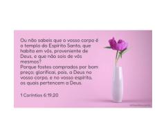 Meu corpo pertence a Deus