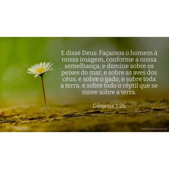 Criado à imagem divina Criado à imagem divina