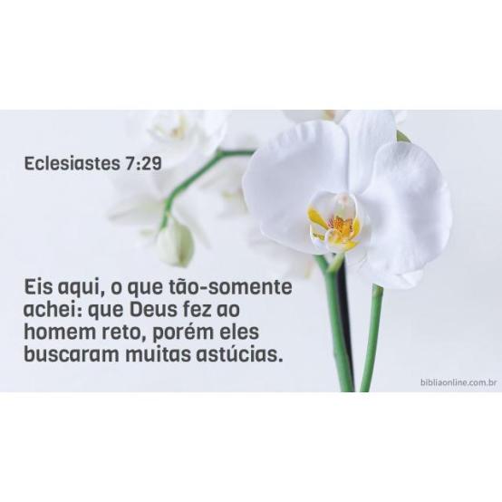 Deus fez o homem perfeito